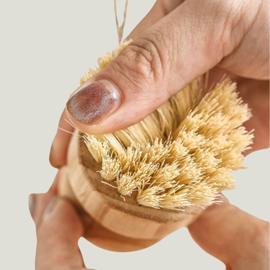 eco friendly kitchen products