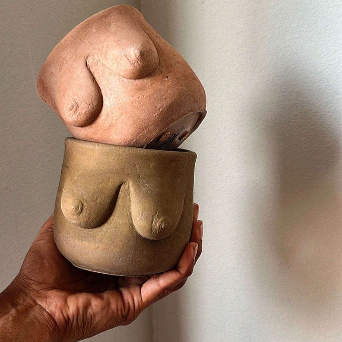 Seno Pot