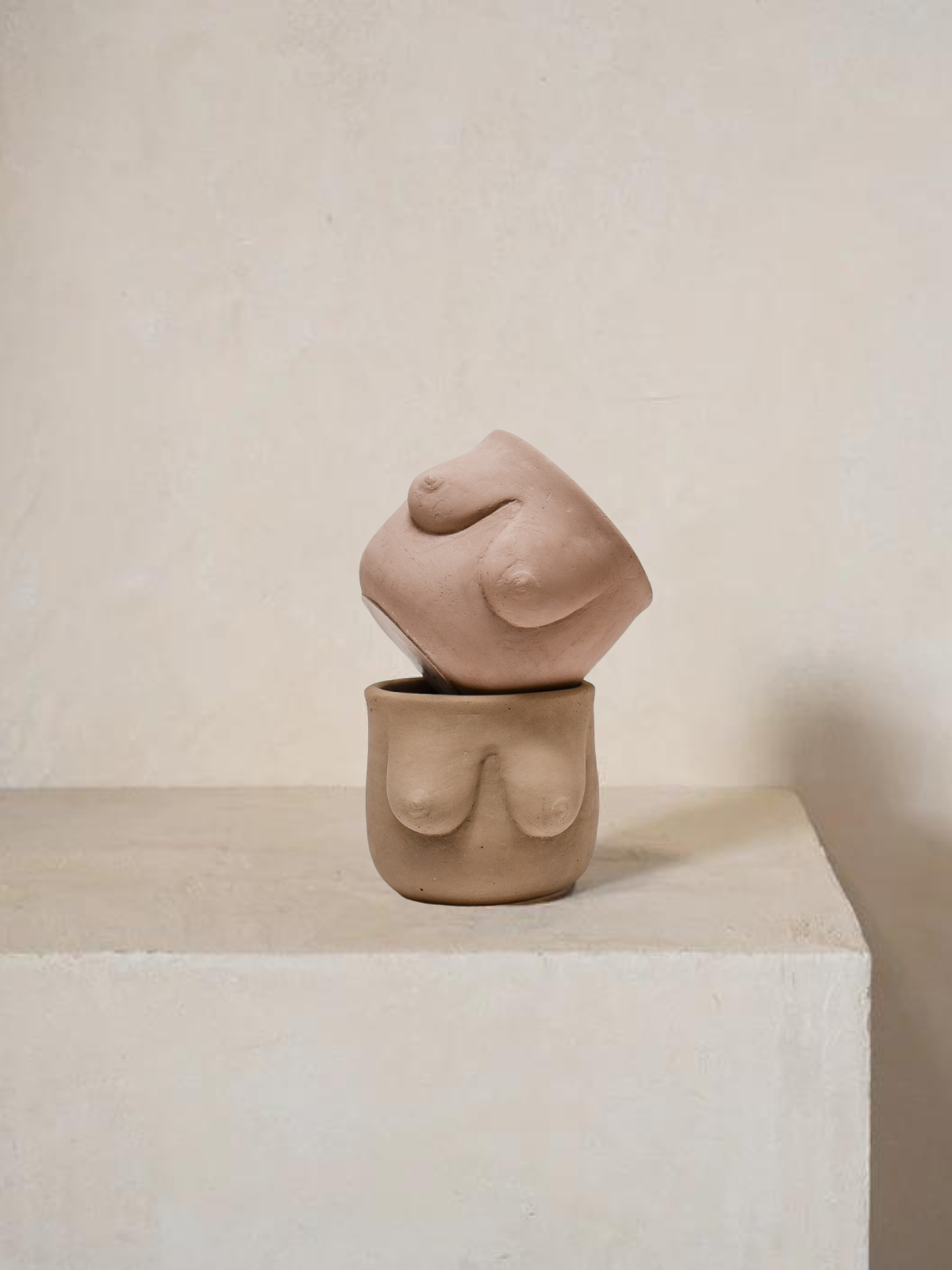 Seno Pot