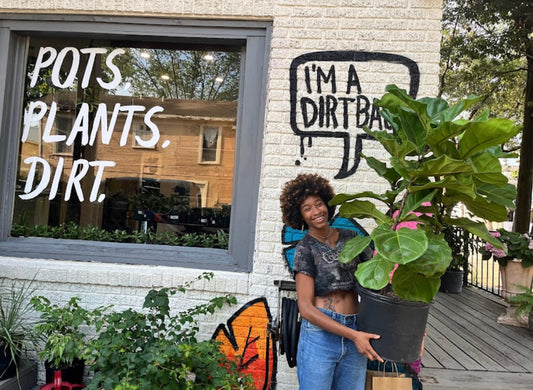 Houston's Green Haven: Exploring the Top Plant Shops for Every Plant Enthusiast